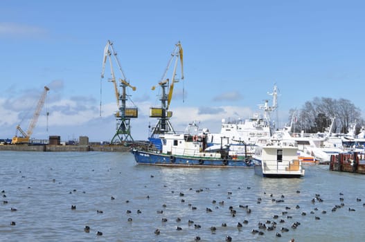 Marine port with crane, plot and bird