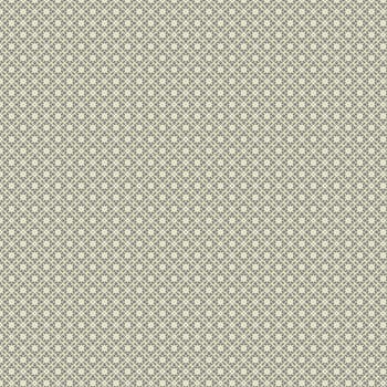 the vintage shabby background with classy patterns