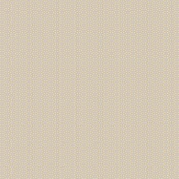 the vintage shabby background with classy patterns