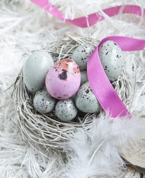 Speckled blue Easter Eggs in a nest on feathers with one single pink one and a pink ribbon