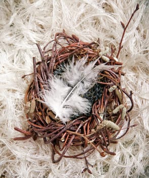 A Feather in a Nest for Happy Easter Wishes