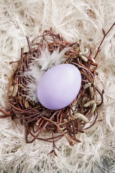 Colored egg in a small nest with wool background