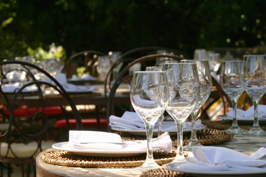 Banquet table in South afrika with glasses and napkins under a big tree