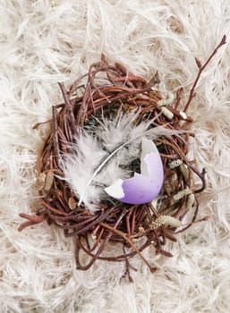 Lavender colored egg shell in a small nest with a bird feather