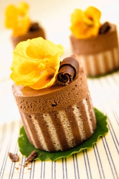 Rich gourmet chocolate desserts of a striped cake base topped with chocolate and mousse and a decorative yellow flower