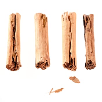 four cinnamon sticks isolated on white. High angled cinnamon sticks on white background.