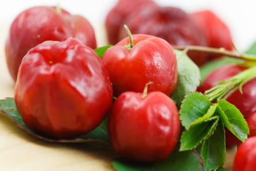 Acerola Cherry - Brazil