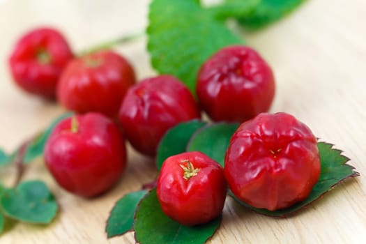 Acerola Cherry - Brazil