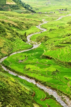 Mountain valley with a river flowing among rice fields