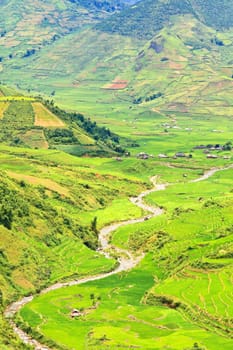 Mountain valley with a river flowing among rice fields