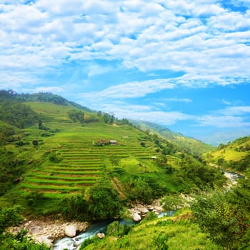 Rice field terraces at nothern Vietnam