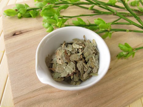 Blueberry leaves,Myrtilli folium
