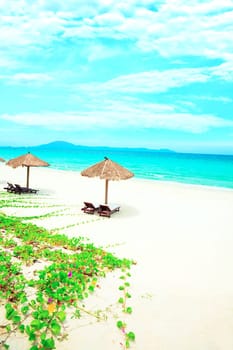 Sandy tropical beach with deck chairs in sunny day