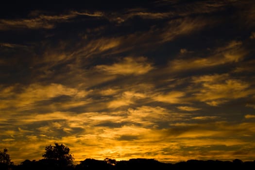 Clouds illuminated by the sun at sunet giving a golden tone.
