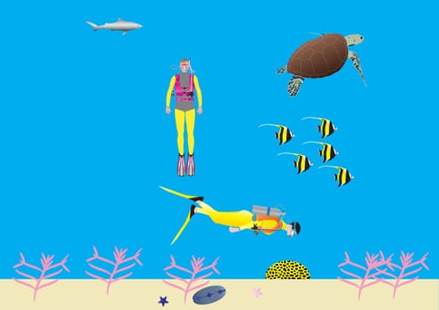 Two Women Scuba Divers on a Coral Reef with a Turtle Moorish Idol Fish and a Shark