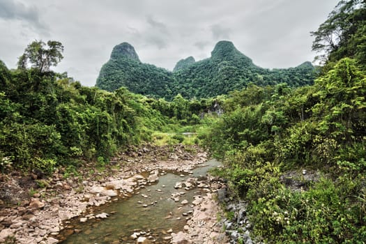 Mountain stream at bad weather. Northern Vietnam