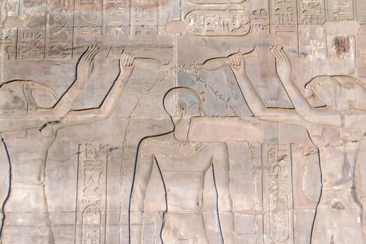 Hieroglyphs in the Temple of Kom Ombo near river Nile (Egypt)