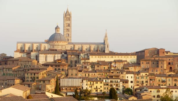 The beautiful Cathedral of Siena (Duomo di Siena) located in Siena, Italy.