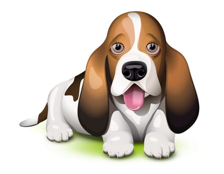 Basset Hound puppy sticking his tongue out