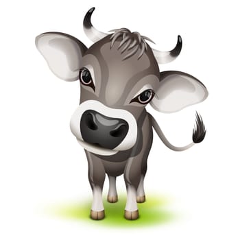 Little swiss cow with a cocked head