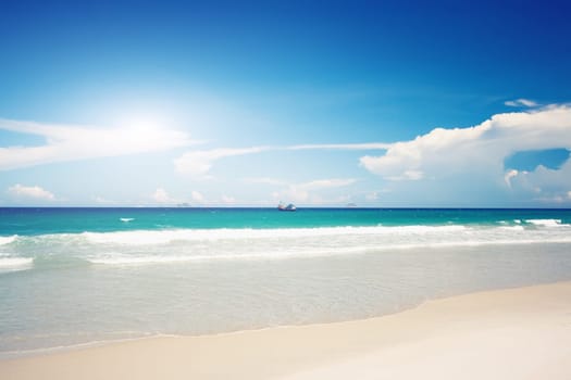 Gorgeous sandy tropical beach in sunny day