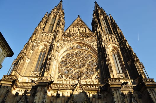 Saint Vitus&#039  Cathedral  is as a Roman Catholic cathedral in Prague