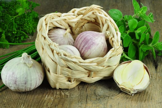 Garlic