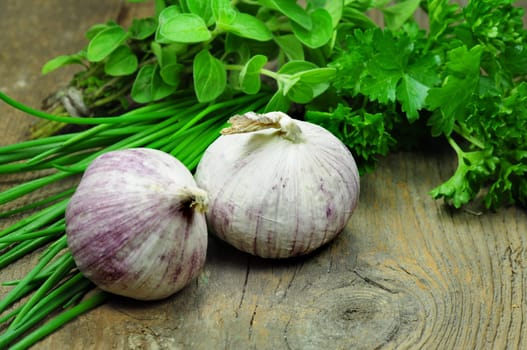 Garlic