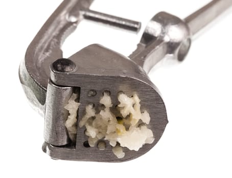 Garlic press and garlic isolated against white in macro shot