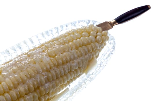 Butter melting on cooked sweetcorn husk in glass dish isolated against white