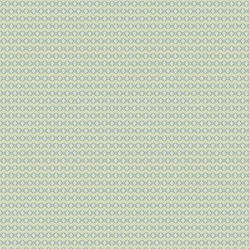 the vintage shabby background with classy patterns