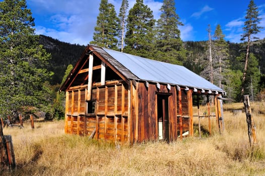 The decaying remains of an old abandoned home in the forest located in the California Sierra mountains.