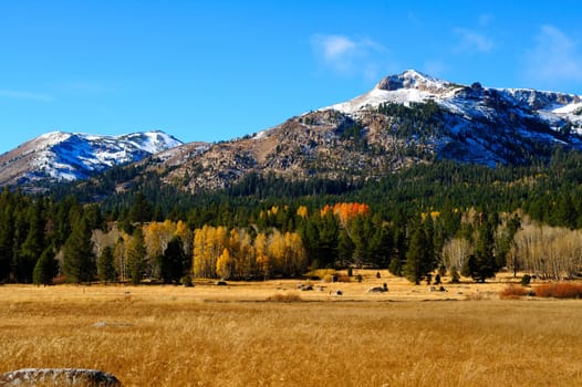An early snowfall covers the mountains in the distance with assorted foliage in fall colors in the foreground located in Hope Valley California