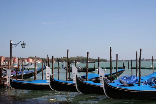 Gondolas in venice, italy
