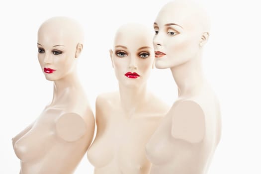 Torsos