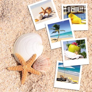 pola photography on the sand of a beach in summer