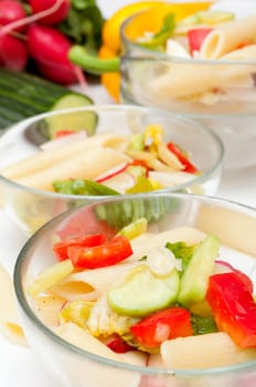 Fresh Pasta Salad With Tomatoes, Pepper, Cucumber, Radish and Lettuce