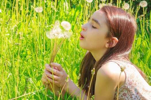 Little girl blowing dandelions, nine at the same time