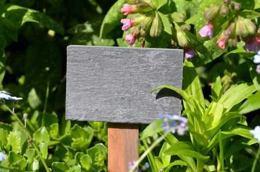 Chalkboard Fresh Herbs Garden Flowers Vitamins