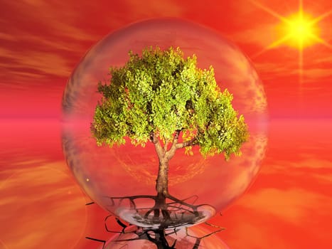 a green tree in a bubble