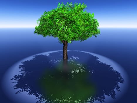 the green tree and its shadow