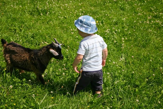 Boy playing with a goat in a meadow