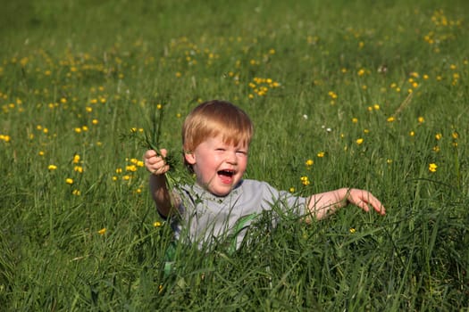 Boy sitting in the green meadow and holding a tuft of grass in his hand
