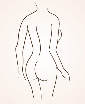 Sexy Lady Back Lineart Silhouette on bright background