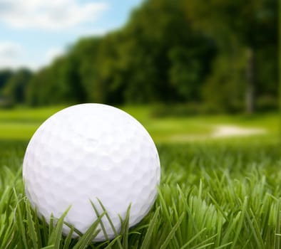 Golf Ball in Grass -  Golf Course in Background