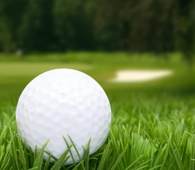 Golf Ball in Grass -  Golf Course in Background