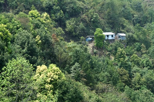 Residing in the midst of lush green forest