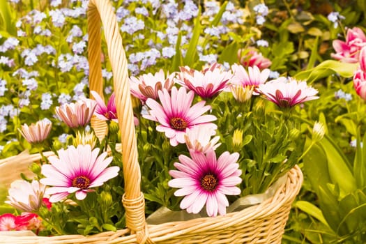 Flower basket