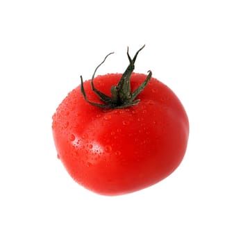 tomato on white background