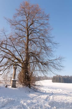 Calvary and lime in winter day